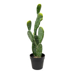 Faux Prickly Pear Cactus with Plastic Pot - Events and Crafts-Simple Elements