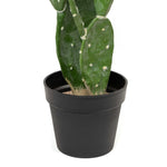 Faux Prickly Pear Cactus with Plastic Pot - Events and Crafts-Simple Elements