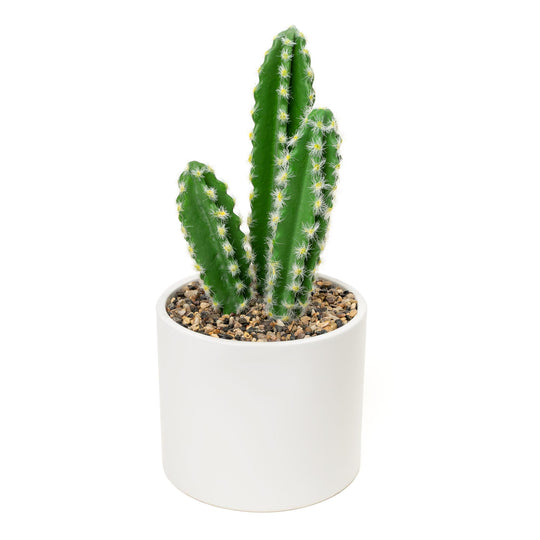 Faux Euphorbia Cactus with Ceramic Pot 12"