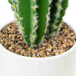 Faux Euphorbia Cactus with Ceramic Pot 12" - Events and Crafts-Simple Elements