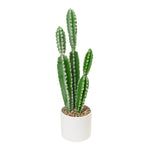 Faux Euphorbia Cactus with Ceramic Pot 24" - Events and Crafts-Simple Elements