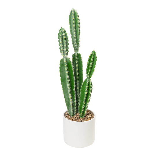 Faux Euphorbia Cactus with Ceramic Pot 24"
