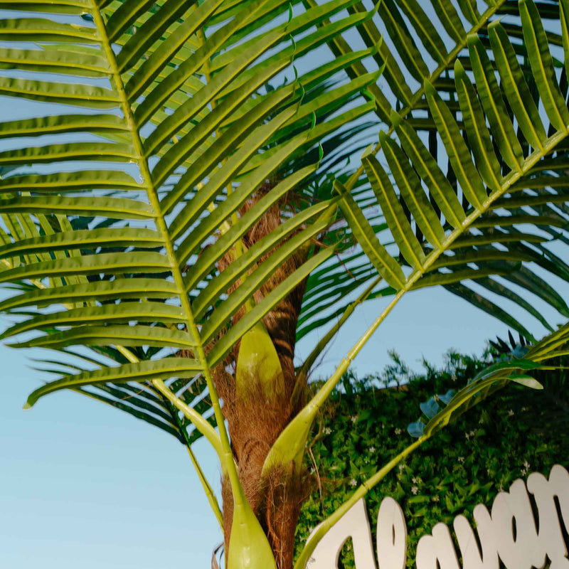 Giant Faux Palm Tree - Events and Crafts-Events and Crafts