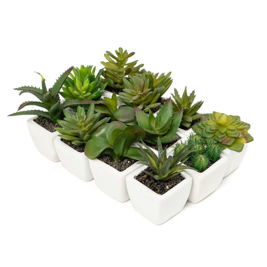 Artificial Assorted Succulents with Ceramic Pots - Set of 12