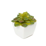 Artificial Assorted Succulents with Ceramic Pots Set of 12 - Events and Crafts-Events and Crafts
