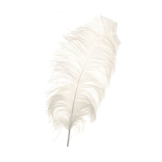 Ostrich Feather Plume 22" - Ivory