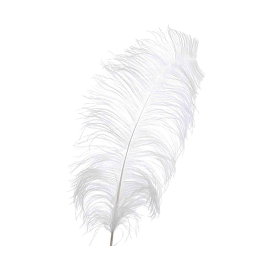 Ostrich Feather Plume 22" - White