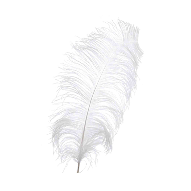 Jumbo Ostrich Feather - White