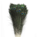 30 Inch Peacock Feather - Product image