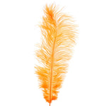 Ostrich Feather - Events and Crafts-Events and Crafts