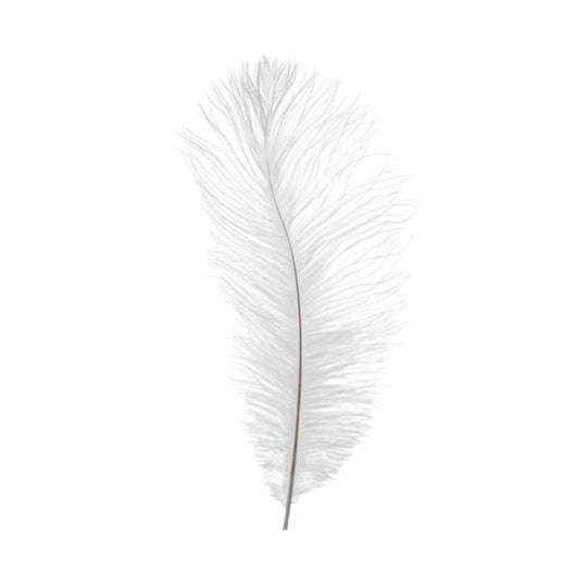 Ostrich Feather White
