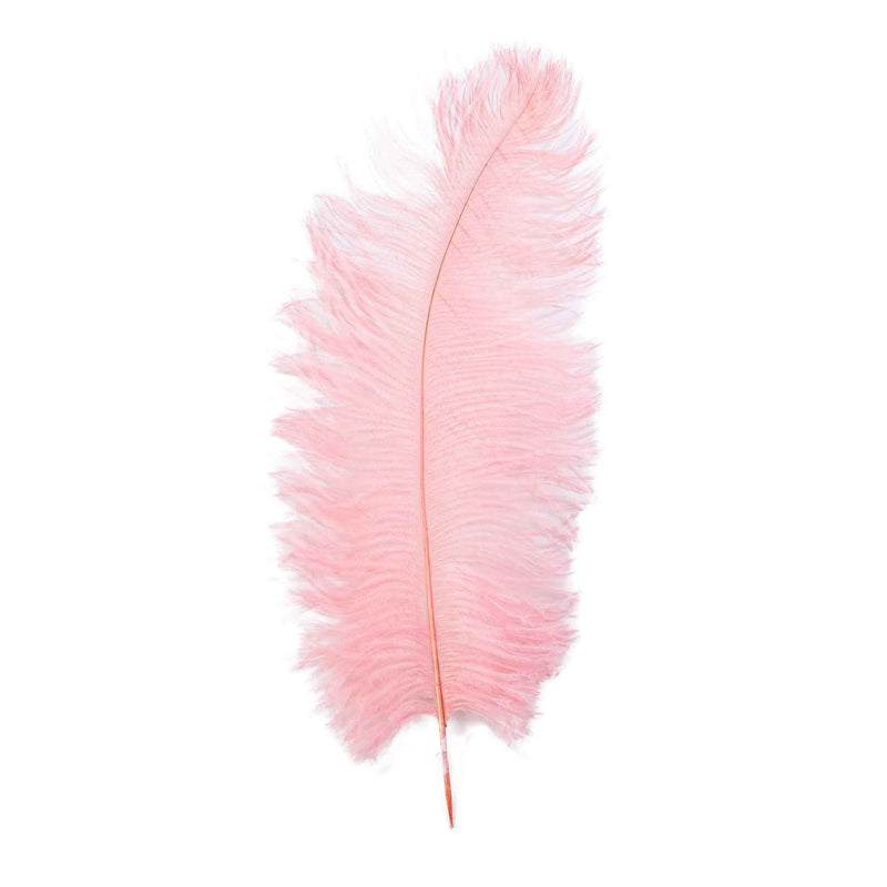 14 Inch Ostrich Feather - Events and Crafts-Events and Crafts
