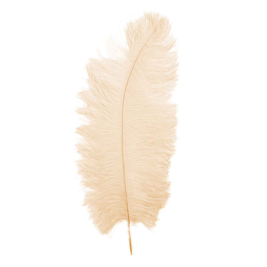 14 Inch Ostrich Feather - Ivory