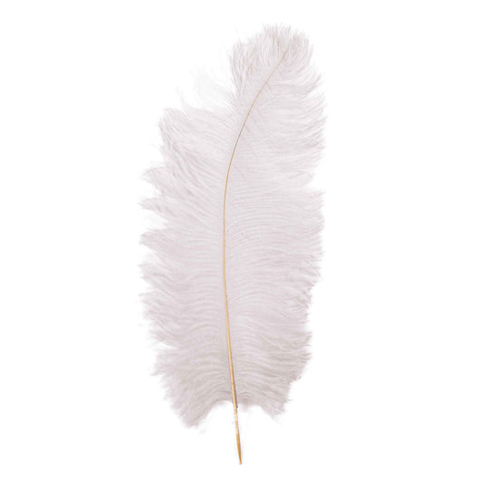14 Inch Ostrich Feather - White