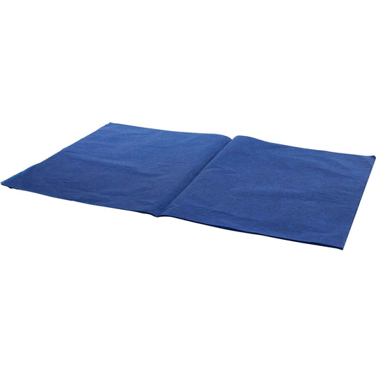 Tissue Paper Sheets 20" x 28" 50 Piece Pack - Royal Blue