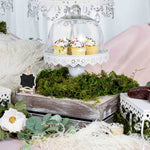Lacey Covered Cake Stand - Lifestyle with Cupcakes