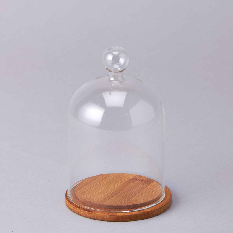 Glass Cloche with Wood Base - Events and Crafts-Events and Crafts