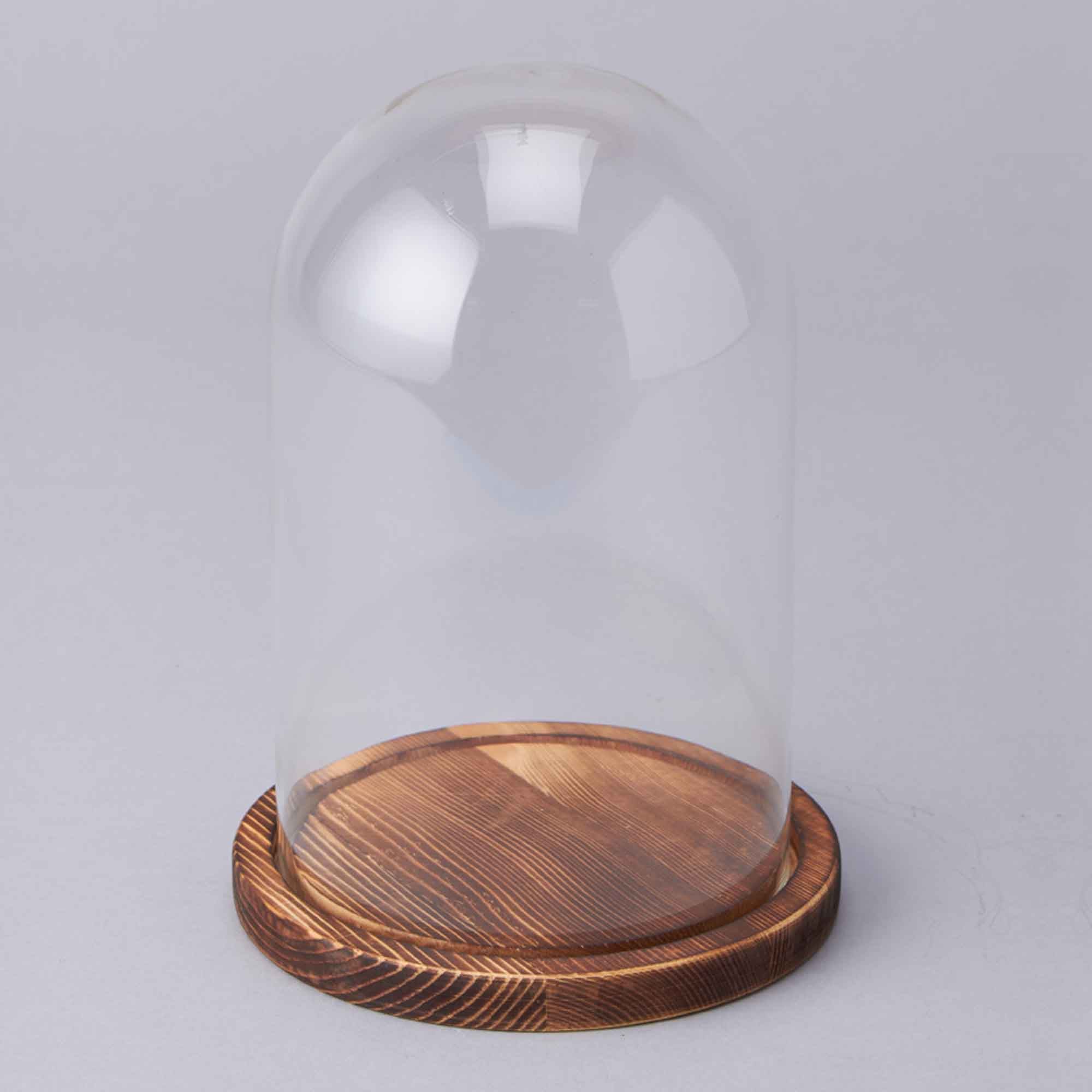 Glass Dome Base Events and Crafts | Glass Dome with Wood Base