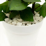 White Pebbles - 2.5 LB. Bag - Events and Crafts-Simply Elegant