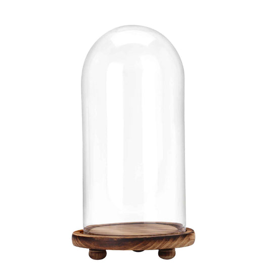 Glass Dome with Wood Base