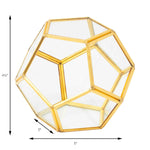 Gold Hexagon Terrarium - Events and Crafts-Events and Crafts