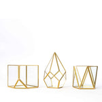 Geometic Terrarium Display 3pc Set - Events and Crafts-Events and Crafts