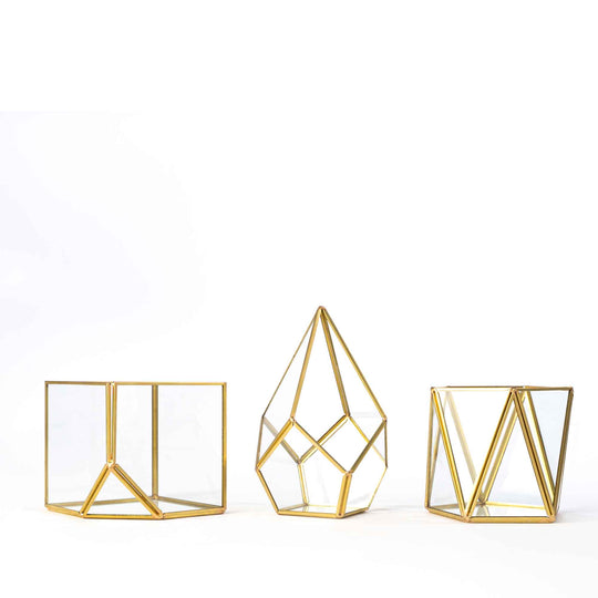 Geometric Terrarium Display 3pc Set